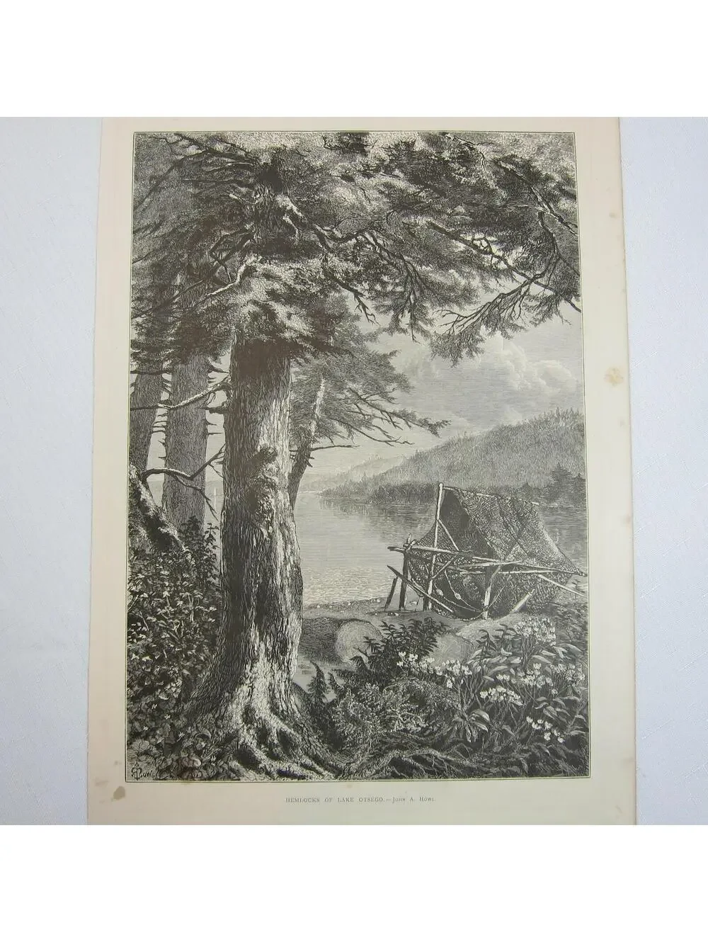 Art Print Hemlock Trees Lake Otsego New York Nature John A. Hows Antique 1874